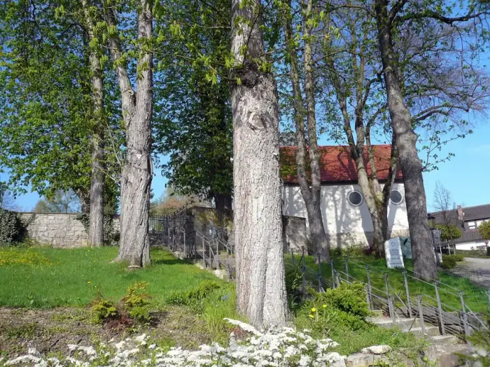 Maßbach - Baumgang bei Maßbach, 2