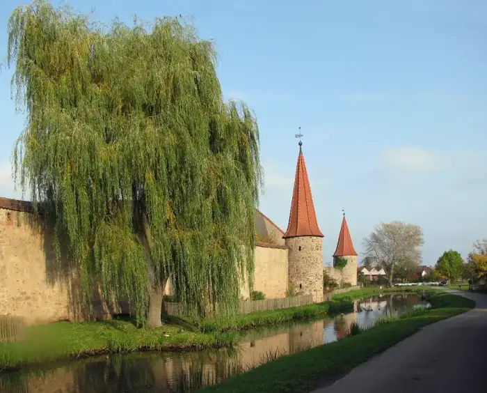 Merkendorf - Stadtmauerpartie in Merkendorf