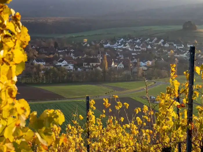 Michelau i.Steigerwald - Michelau im Steigerwald-20201115-RM-154347