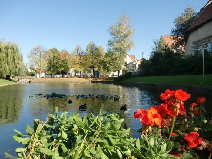 Mörstadt - Der Woog in Mörstadt