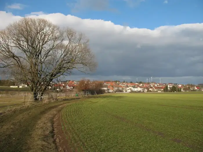 Mücke - Atzenhain
