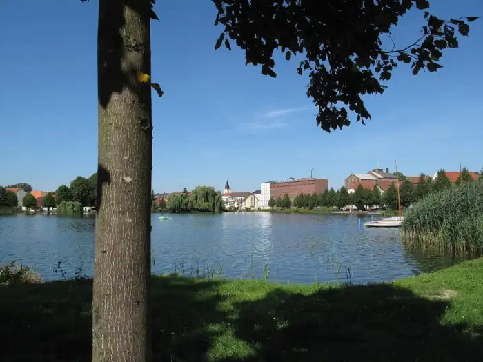 Müllrose - Großer Müllroser See 4