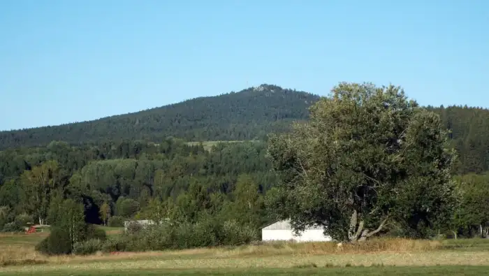 Nagel - Kosseine