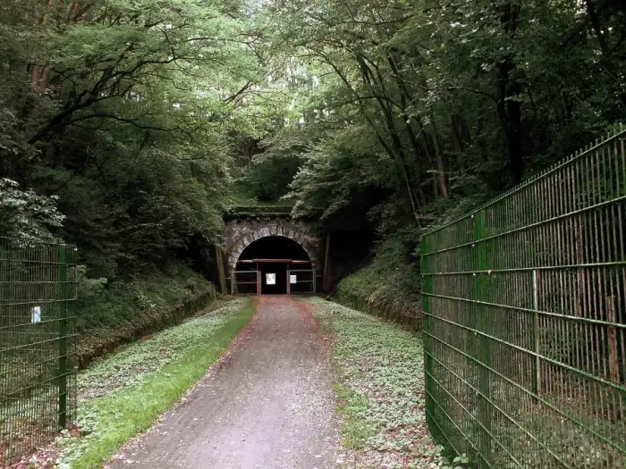 Nanzdietschweiler - Elschbacher Tunnel 2