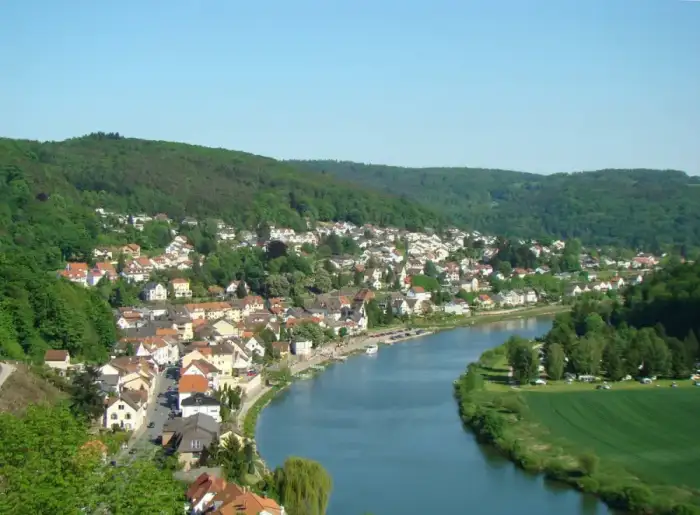 Neckarsteinach - Neckarsteinach-2008