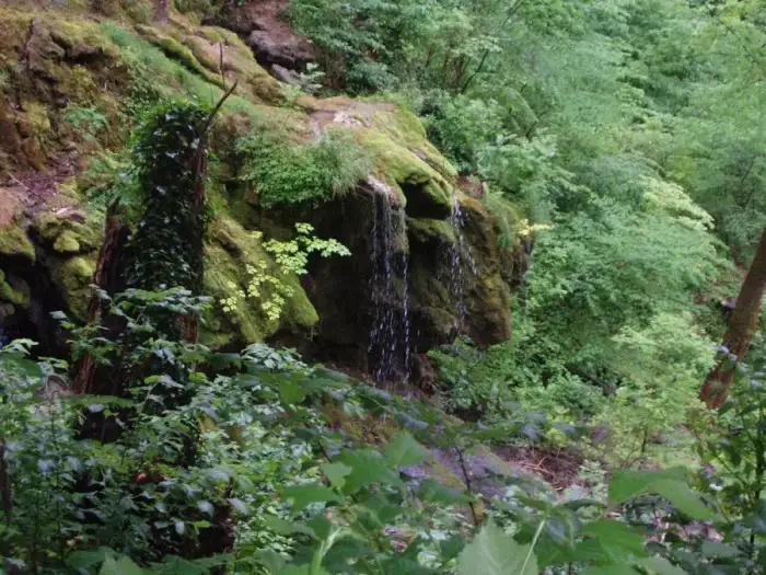 Neidlingen - NeidlingenWasserfall