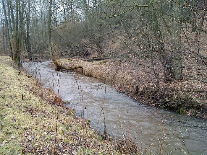Neuhütten - Lohrbach bei Neuhütten