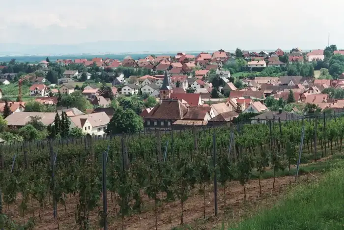 Oberotterbach - Oberotterbach, view to the village
