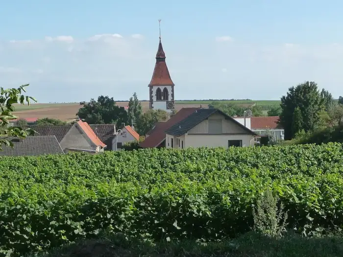 Obrigheim (Pfalz) - Obrigheim(Pfalz)-01