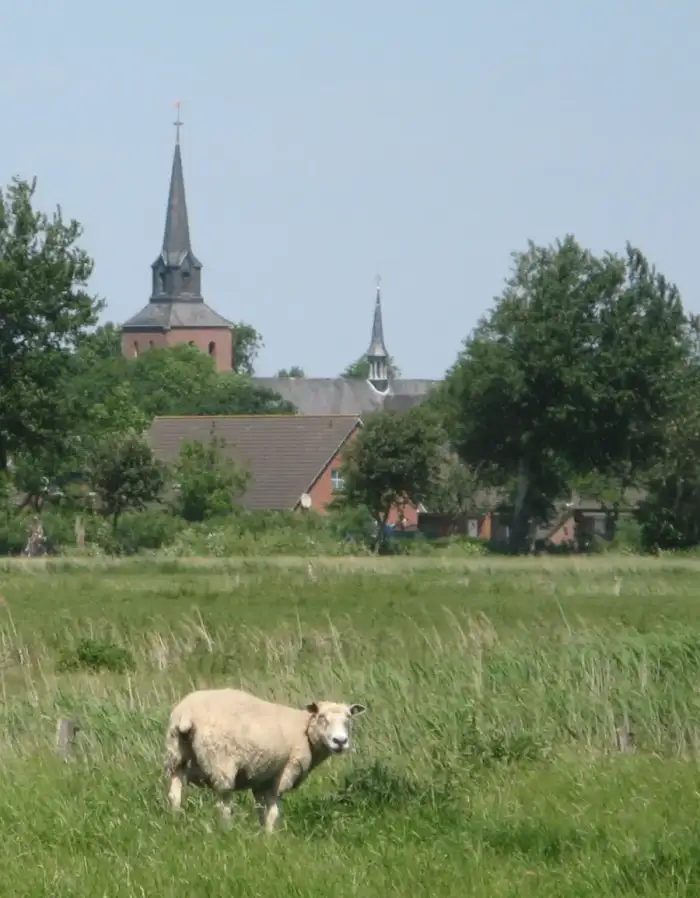 Oldenswort - Oldenswort kirche ueber feld