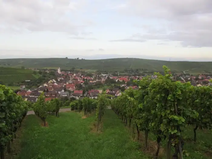 Pfaffenweiler - Pfaffenweiler Totalansicht