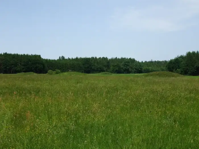 Pürgen - Graeberfeld Puergen 016