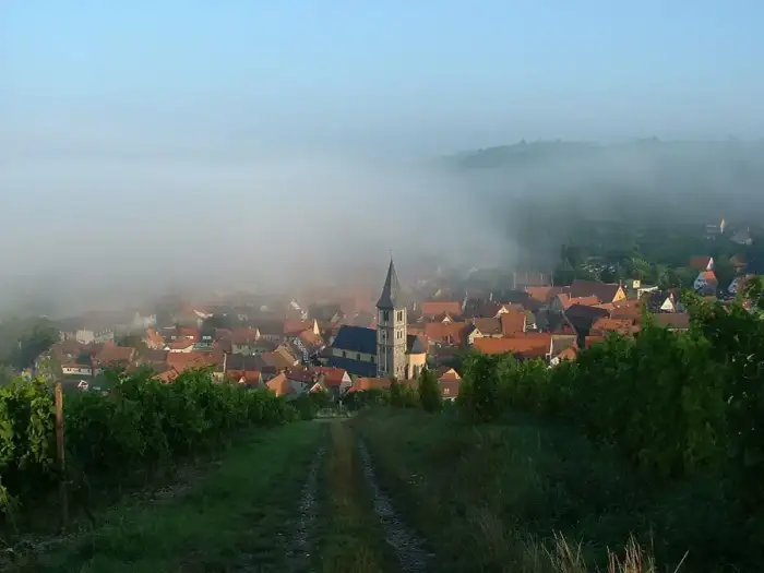 Randersacker - Randersacker im nebel