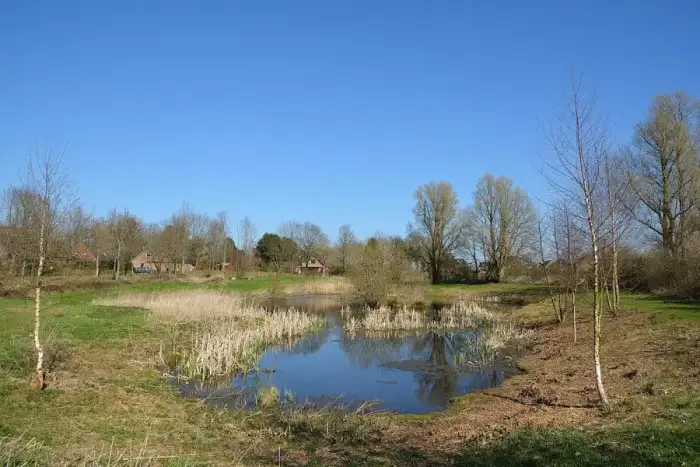 Rantrum - Schleswig-Holstein, Rantrum, Naturerlebnisraum NIK 4923