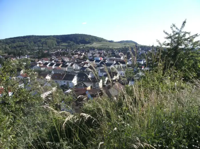 Rauenberg - Rauenberg, Germany - panoramio (2)