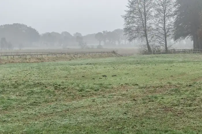 Rhade - Geringe Spuren der Burg Rhade (Foto Eismann 2016)