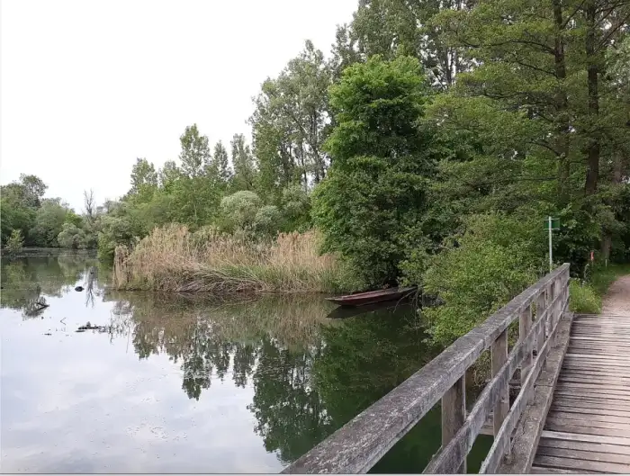 Rheinau - Herrenkopfbrücke, Rhinau