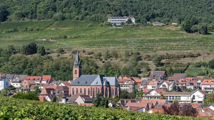 Sankt Martin - 2025-09-19 D500-0728 Achim-Lammerts St-Martin-Kirche-Weinberge