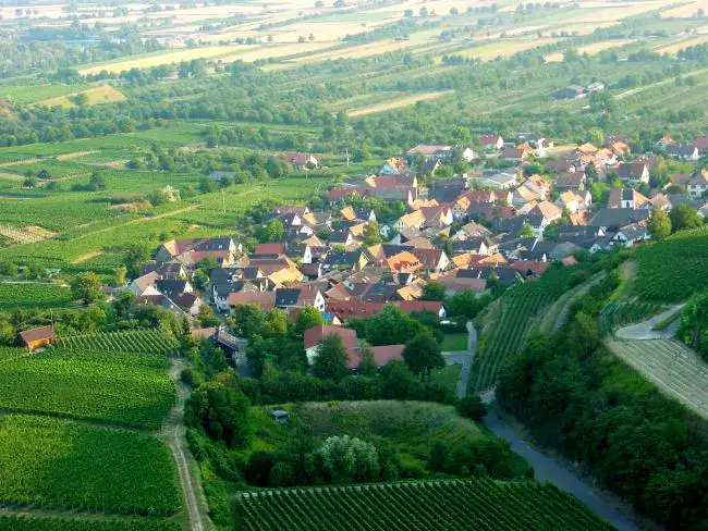 Sasbach am Kaiserstuhl - Leiselheim 06.650