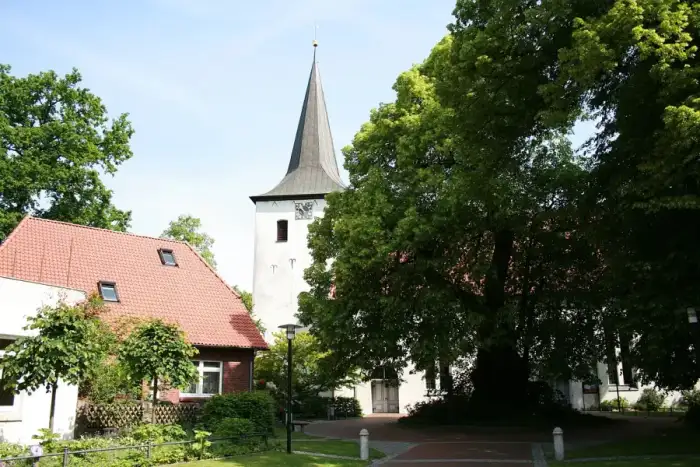 Scheeßel - Scheeßel - Sankt Lukas-Gerichtslinde 01 ies