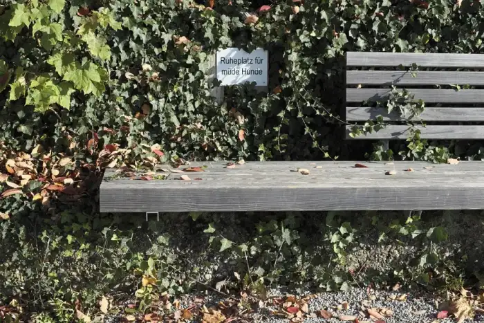 Schondorf am Ammersee - Unterschondorf (Schondorf am Ammersee) Bank 663