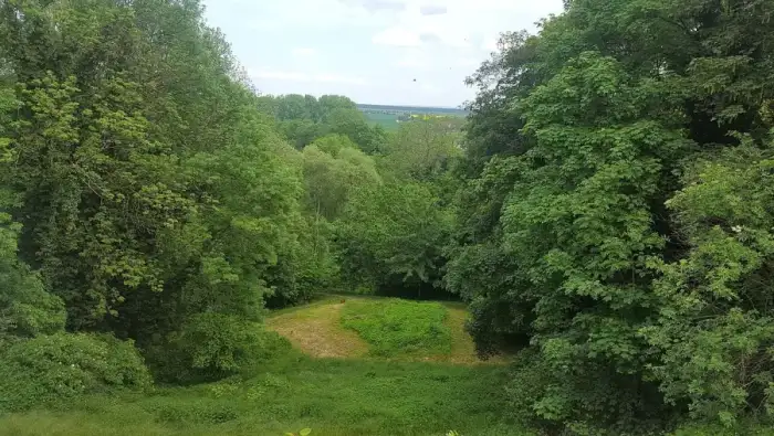 Strehla - 20190519Strehla Schlosspark-020