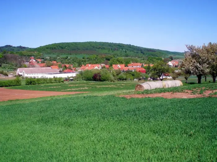 Südharz - Wickerode1