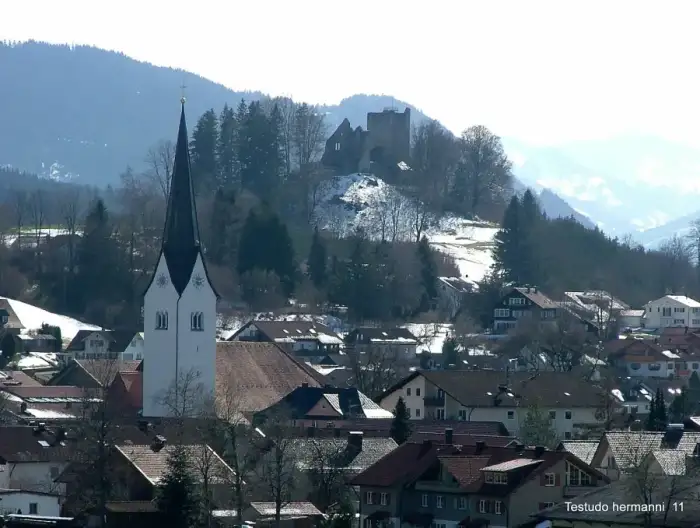 Sulzberg - Sulzberg40