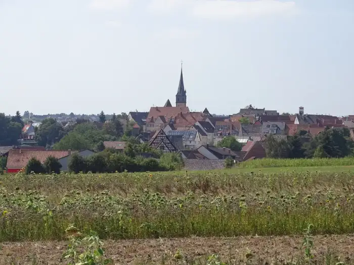 Tiefenbronn - Landschaftsaufnahmen bei Tiefenbronn 20