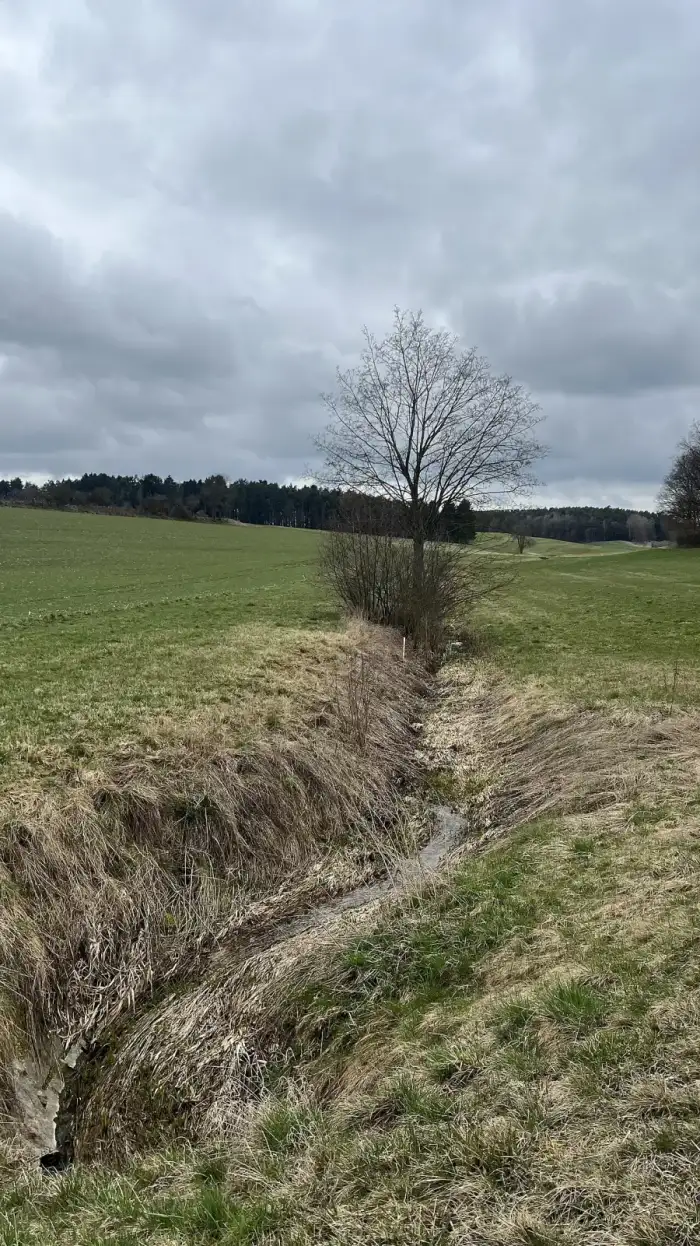 Trabitz - Miegagraben