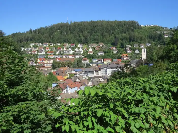 Triberg im Schwarzwald - Triberg, VS - Wallfahrtstr - Triberg v W