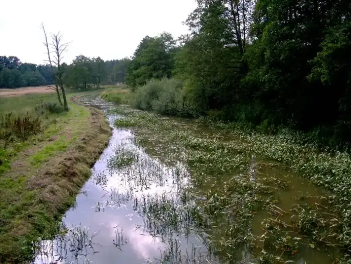 Vollersode - Giehlerbach springmoor