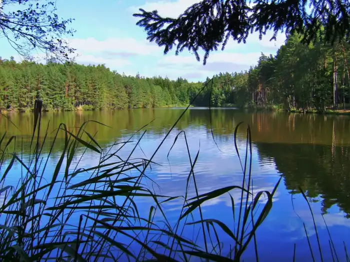 Vorbach - Schneidweiher - panoramio