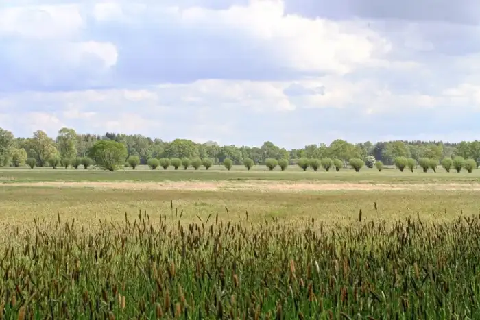 Wakendorf II - NSG Nr. 76 Oberalsterniederung Höhe Wakendorf II