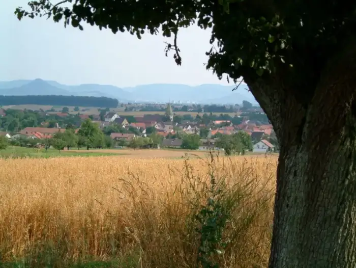 Walddorfhäslach - Walddorf