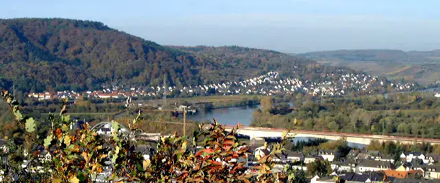 Wasserliesch - Wasserliesch w