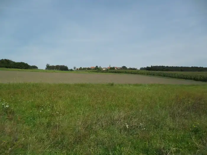 Weihenzell - Weihenzell-Forst
