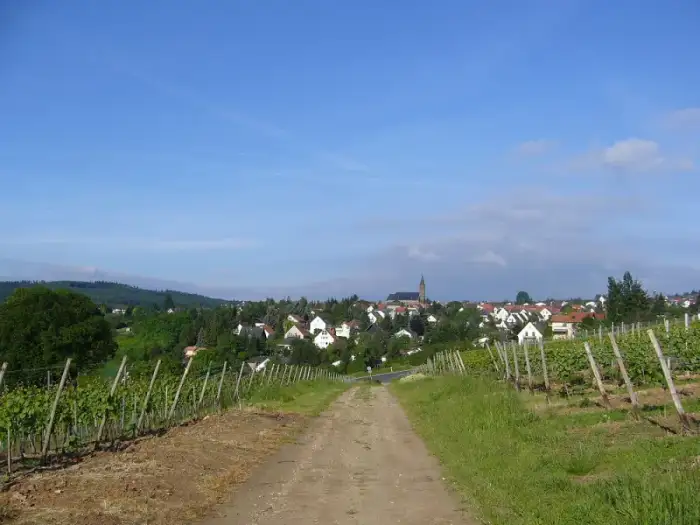 Weiler bei Bingen - Panorama von Weiler bei Bingen