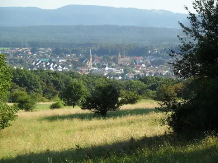 Weilerbach - NSG Magerwiesen am Eulenkopf, Erzenhausen 1