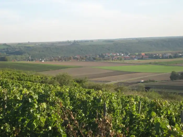 Wendelsheim - Wendelsheim-view2