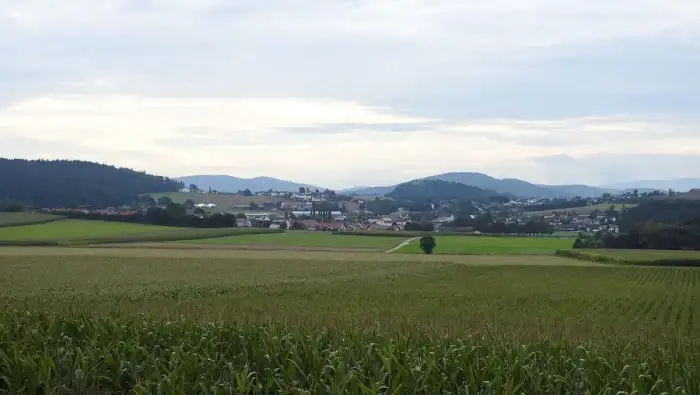 Willmering - Waffenbrunn, CHA - Rhanwalting östl - Willmering, CHA v N