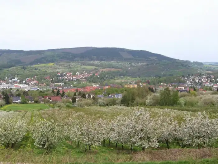 Witzenhausen - Talblick auf Witzenhausen zur Kirschblüte ds wv 04 2010
