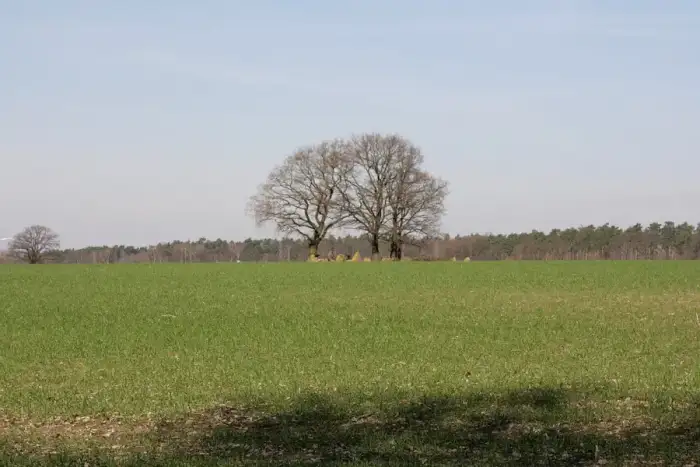 Wrestedt - Wrestedt - Großsteingrab Kahlstorf 02 ies