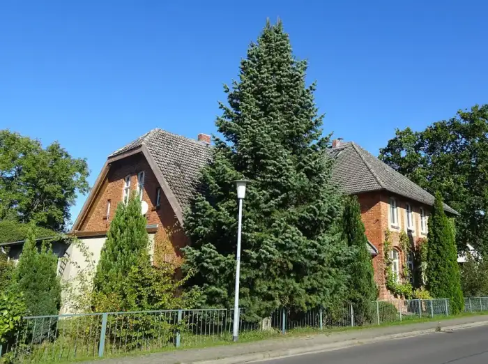 Zarrendorf - ZarrendorfKirchstraße30Schule