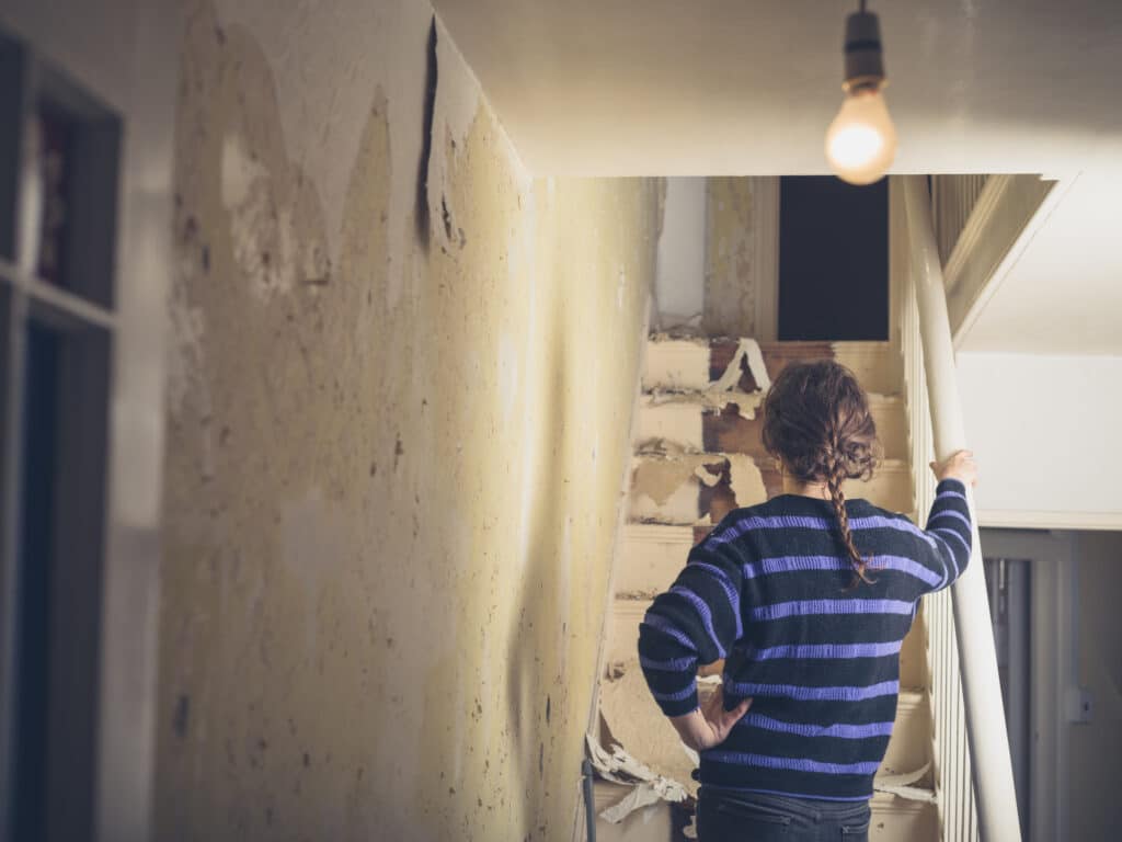 Jung kauft Alt Kfw 308